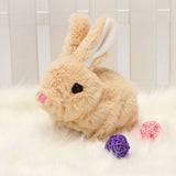 Lapin robot | MONAMIBUNNY™