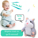 FUNNYHAMSTER ™ | Le hamster parlant.