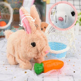 Lapin robot | MONAMIBUNNY™