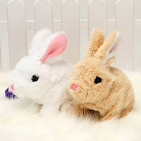 Lapin robot | MONAMIBUNNY™