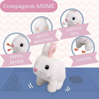 Lapin robot | MONAMIBUNNY™
