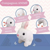 Lapin robot | MONAMIBUNNY™
